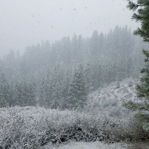 Meet your Posher, Shaun